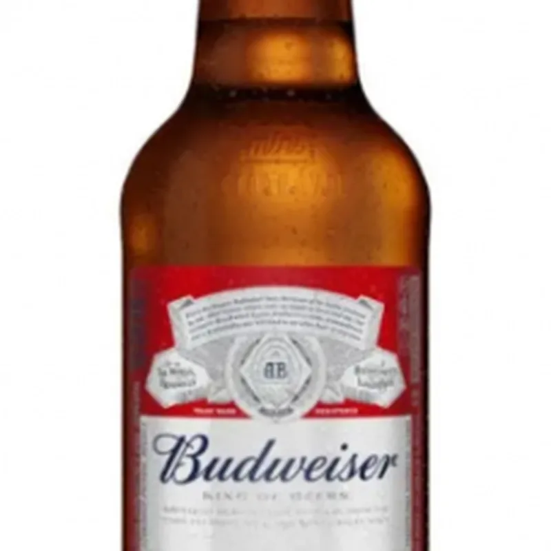BUDWEISER LITRINHO 300 ML